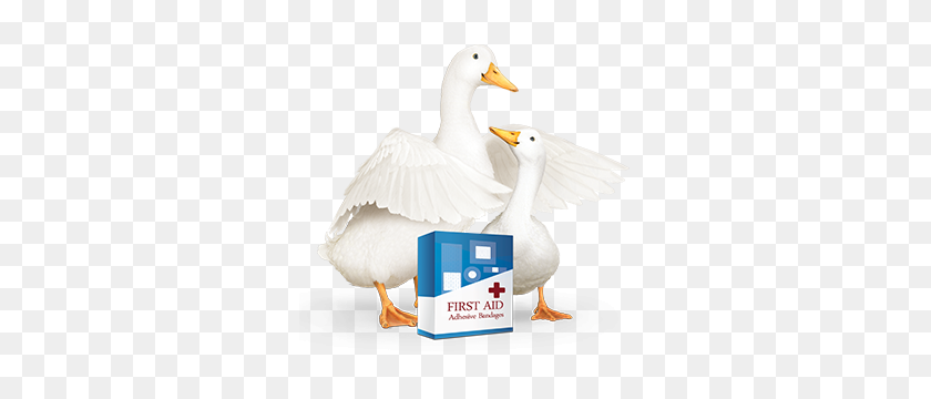300x300 How Could An Accident Impact Your Lifestyle Employee Benefits - Aflac Logo PNG