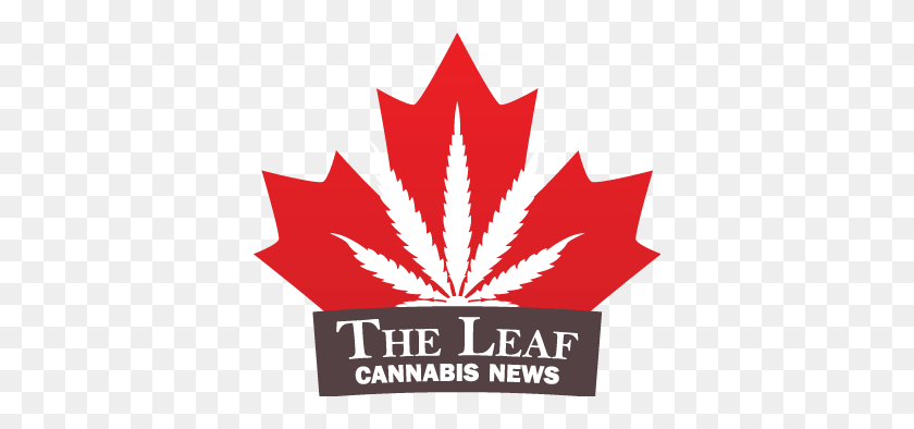 374x334 How Should Researchers Measure Cannabis Variables - Weed Leaf PNG