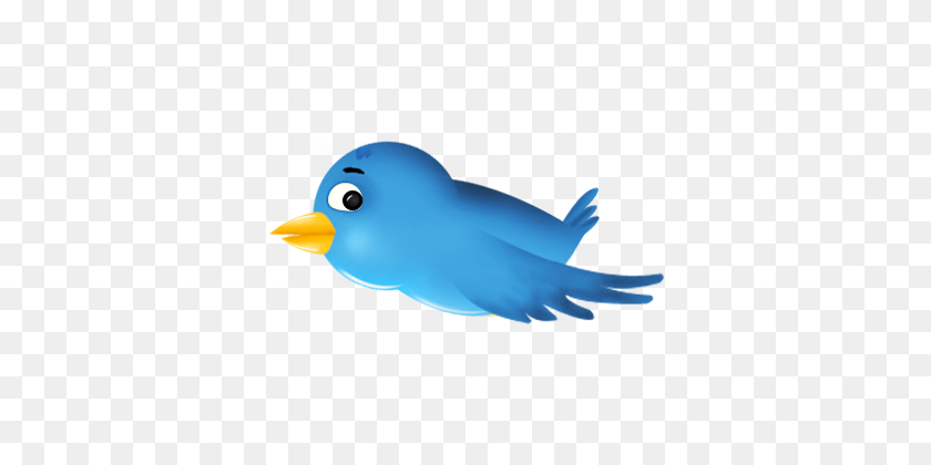 360x360 How To Add Animated Flying Twitter Cute Bird On Blogger, Add - Cartoon Bird PNG