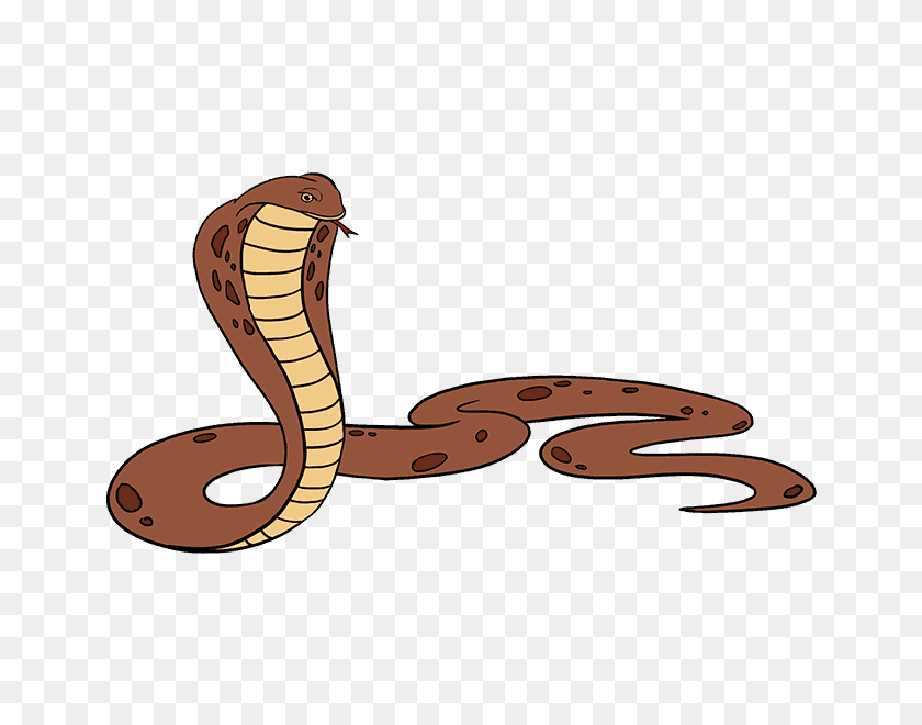 678x600 How To Draw A Cobra Easy Step - Snake Tongue PNG