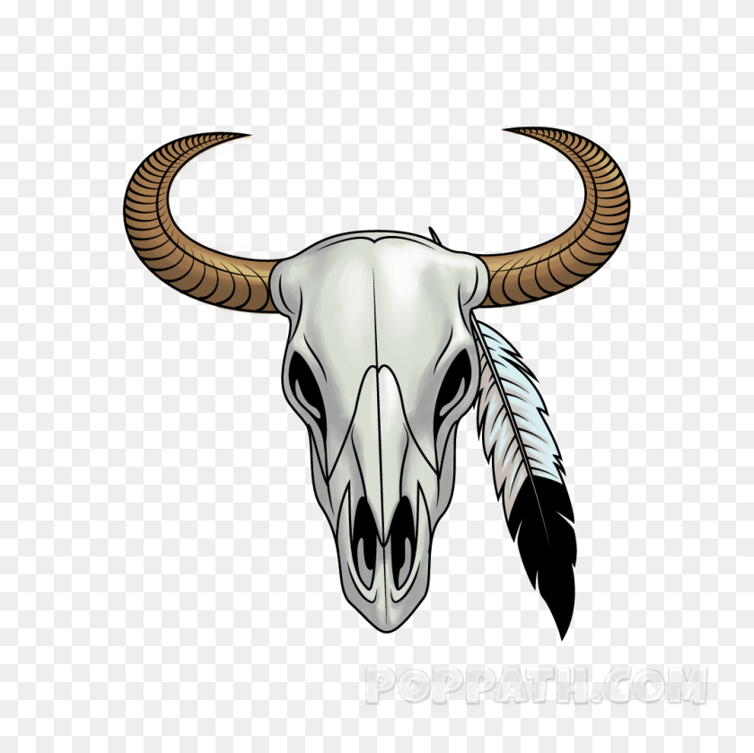 1000x1000 Cómo Dibujar Un Cráneo De Longhorn Pop Path - Cráneo De Vaca Png