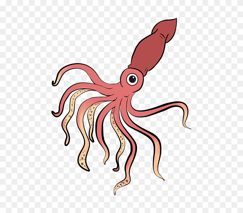 680x678 How To Draw A Squid - Giant Squid Clipart