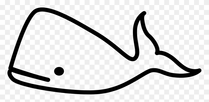 900x404 How To Draw A Whale For Kids, Step - Piston Clipart