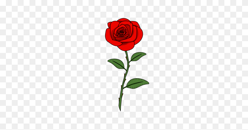 215x382 Как Нарисовать Красную Розу, Цветы, Растения, Легкий Шаг - Роза Рисунок Png