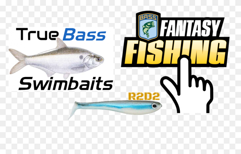 1024x626 Cómo Pescar Swimbaits True Bass Fishing - Bass Fish Png