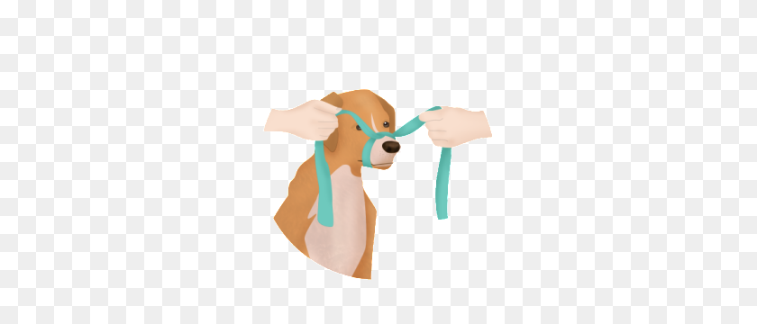 300x300 How To Muzzle Your Pet - Dog Ears PNG