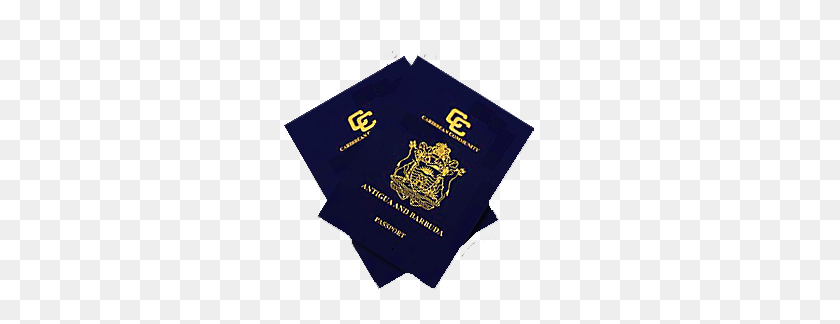 272x264 How To Obtain Citizenship In Antigua And Barbuda - Passport PNG