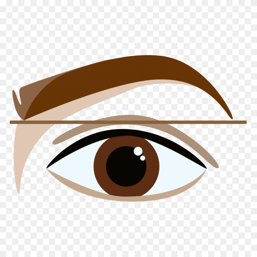 800x800 How To Shape Your Brows - Eyebrow PNG