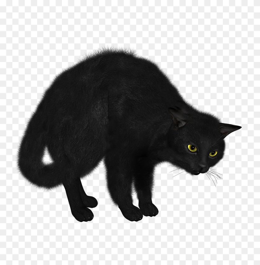 1490x1520 Gato Png