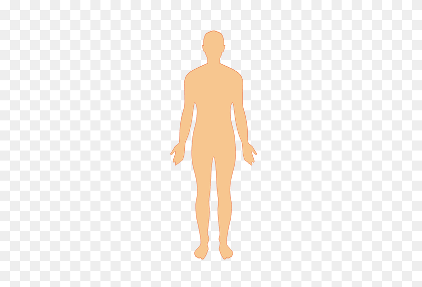 512x512 Human Body Man - Human Body PNG