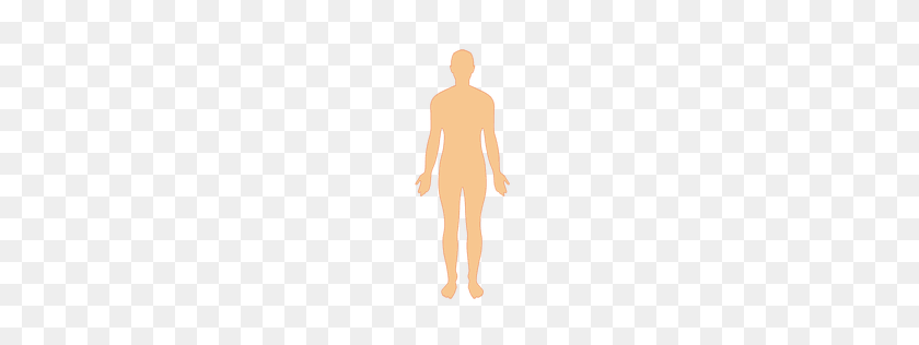 256x256 Human Body Man Silhouette - Human Body PNG