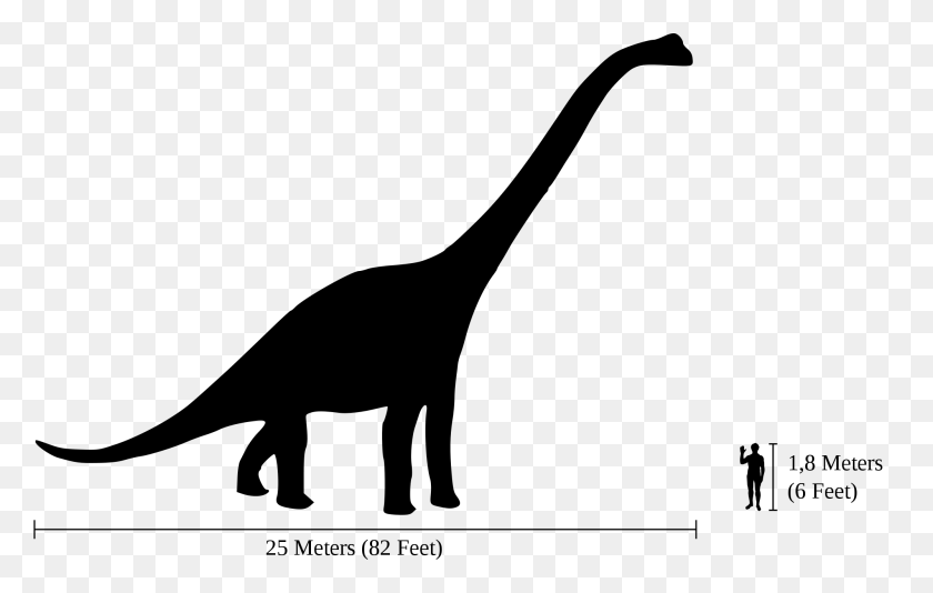 2000x1216 Сравнение Размеров Человека Брахиозавр - Брахиозавр Png