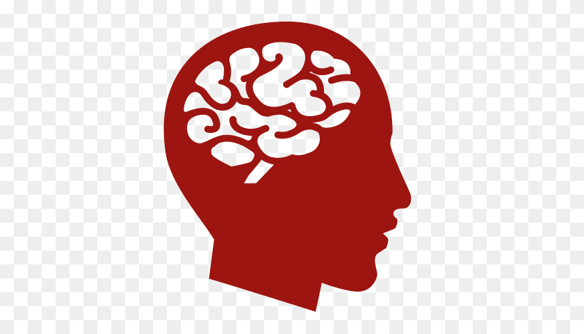 420x420 Человеческий Мозг - Мозг Png