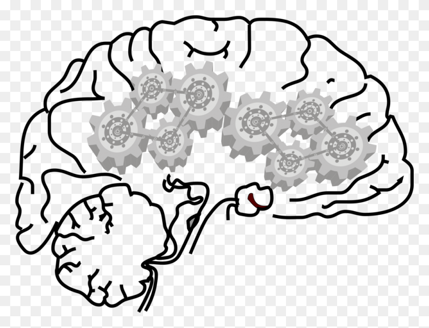 1002x750 El Cerebro Humano, El Sistema Nervioso Central De La Neurona - Nervioso De Imágenes Prediseñadas