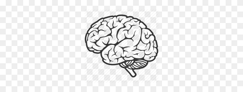 260x260 Cerebro Humano