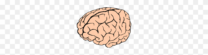 220x165 Human Brain Clipart Clip Art Of Rough Human Brain Mind Grunge - Grunge Clipart