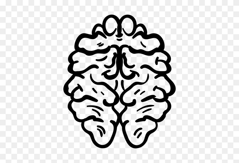 512x512 Human Brain Doodle - Human Brain PNG
