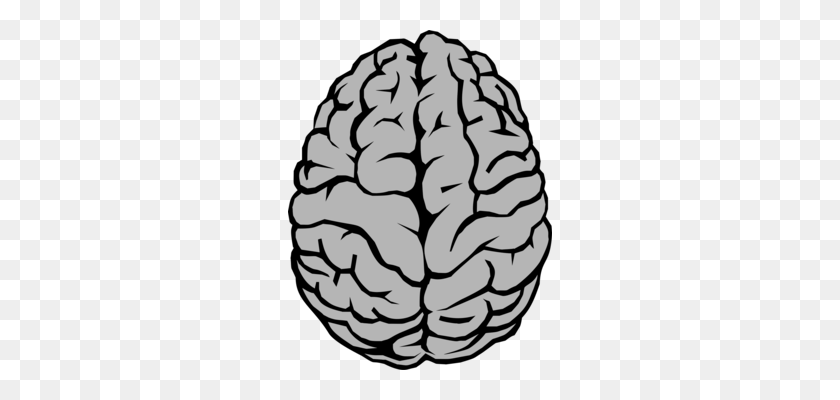 264x340 Рисунок Человеческого Мозга - Клип-Арт Из Общественного Достояния