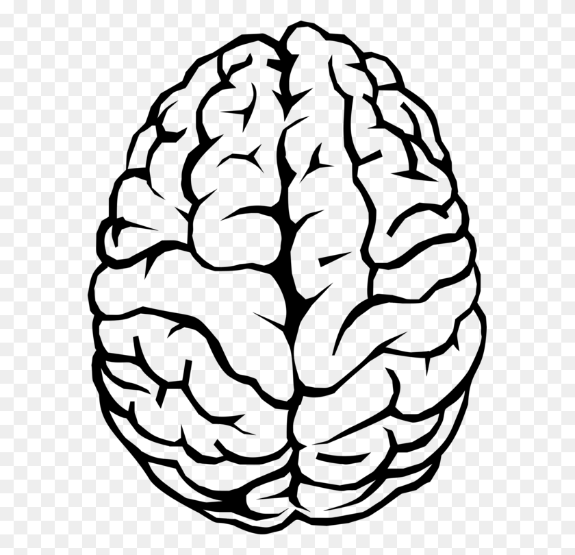 583x750 Человеческий Мозг Рисования Линии Искусства Компьютер - Мышление Мозга Клипарт