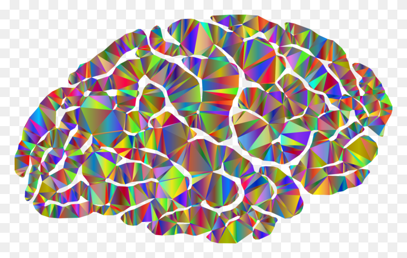 1239x750 El Cerebro Humano De Neuroimagen De La Neurociencia - La Neurociencia De Imágenes Prediseñadas