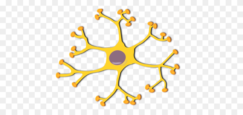 454x340 Human Brain Neuron Nervous System - Knowledge Brain Clipart