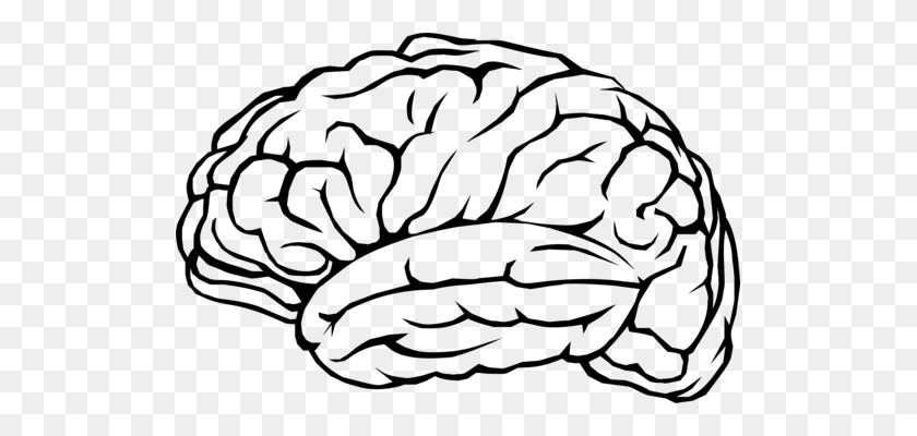 517x340 El Cerebro Humano, El Cerebro Atlético De La Silueta De Dibujo - Cerebro Engranajes De Imágenes Prediseñadas