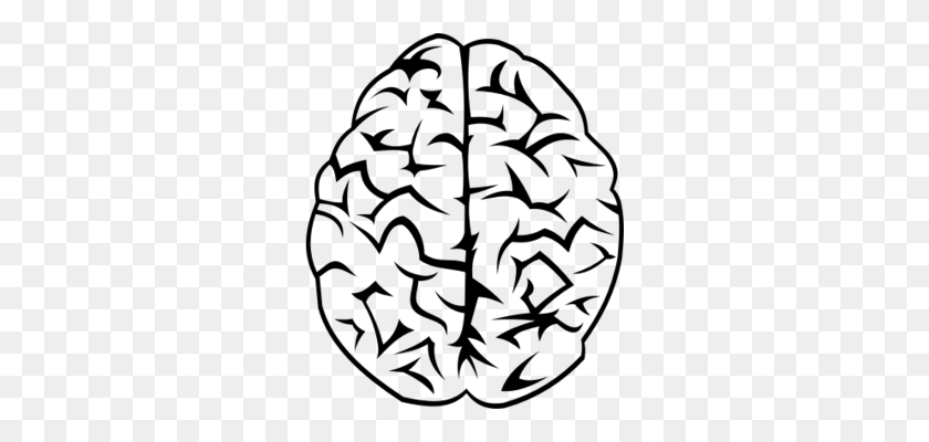 288x340 El Cerebro Humano De La Memoria De Trabajo De Dibujo Del Sistema Nervioso Central Gratis - Brain Gears Clipart