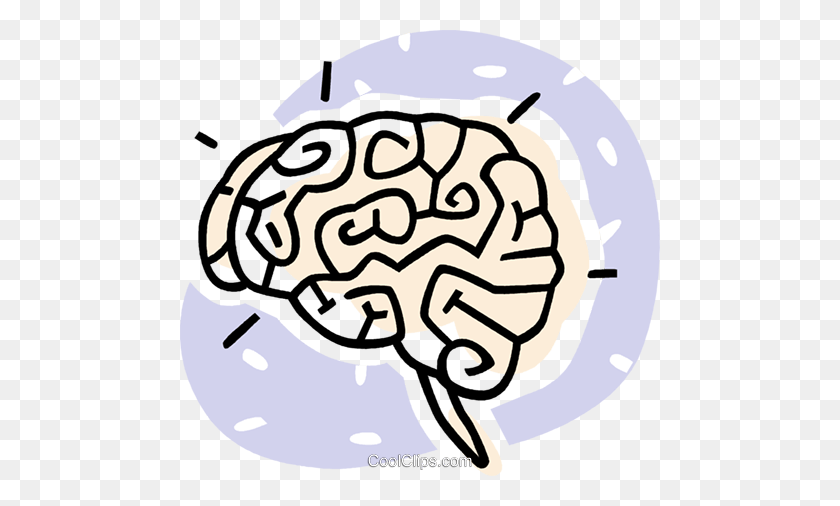 480x446 Human Brains Royalty Free Vector Clip Art Illustration - Brain Vector PNG