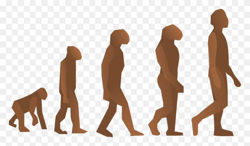 1353x750 La Evolución Humana De Neandertal Homo Sapiens Biología - Biología Png