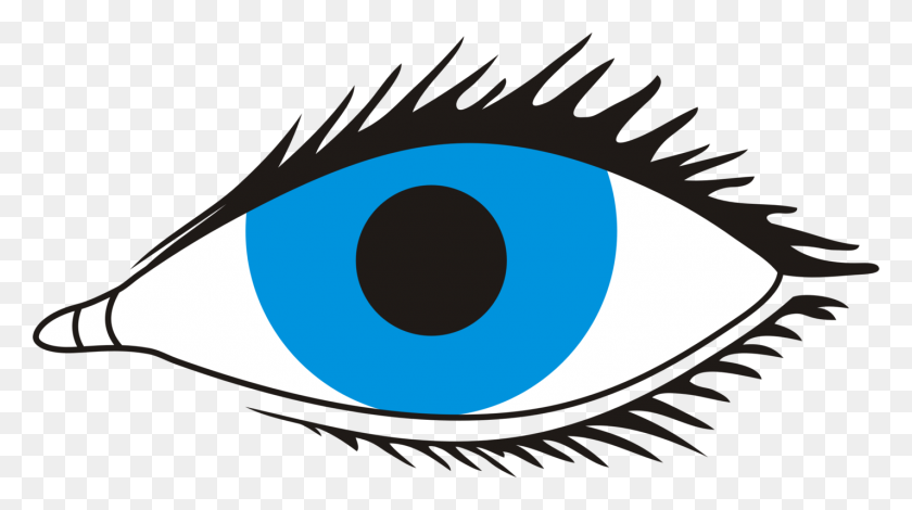 1426x750 Human Eye Visual Perception Eyelash Iris - Free Clip Art Eyes