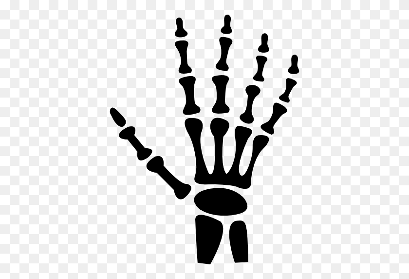 512x512 Human Hand Bones - Skeleton Hand PNG