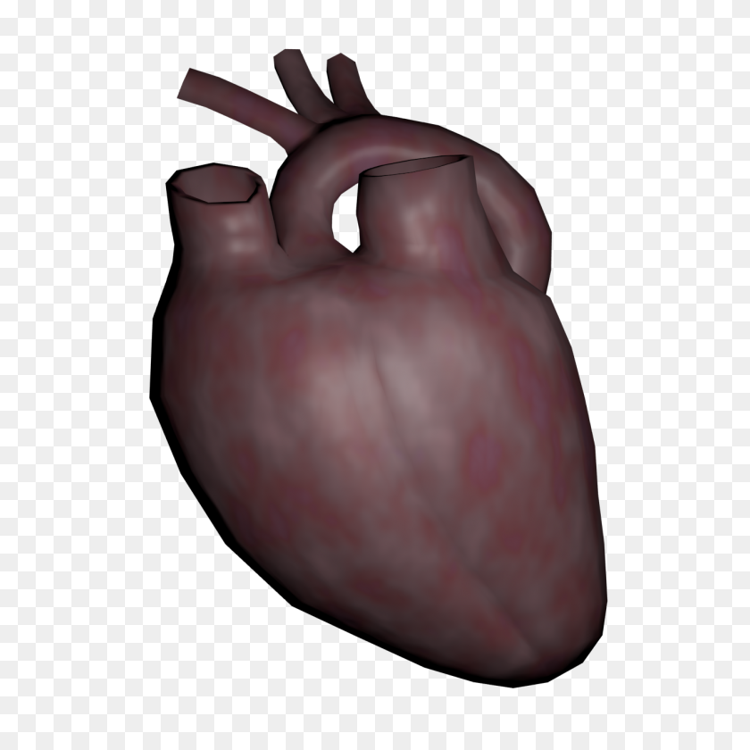 1280x1280 Human Heart - Human Heart PNG