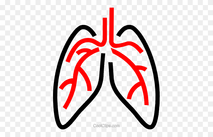 421x480 Human Lungs Royalty Free Vector Clip Art Illustration - Lungs Clipart