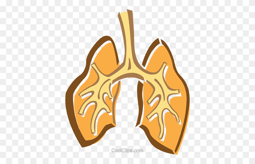 410x480 Human Lungs Royalty Free Vector Clip Art Illustration - Lungs Clipart