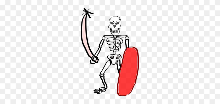 221x339 Human Skeleton Bone Skeleton Key Skull - Pelvis Clipart