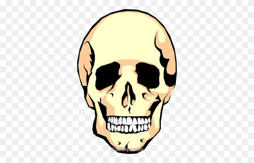 330x480 Human Skull Royalty Free Vector Clip Art Illustration - Skull Clipart