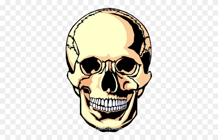 333x480 Human Skull Royalty Free Vector Clip Art Illustration - Coding Clipart