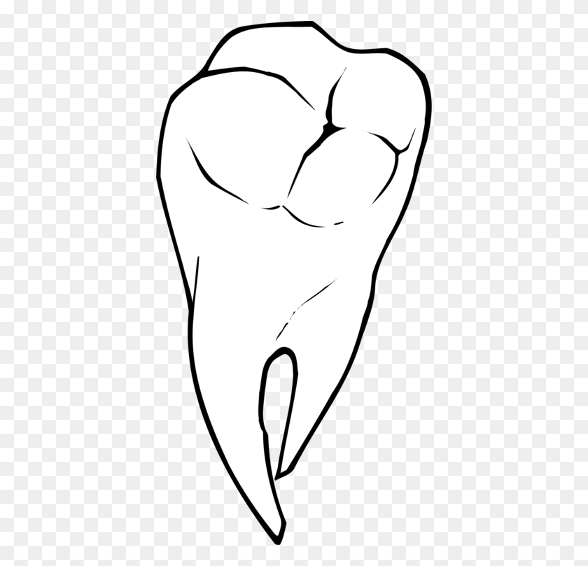 394x749 Стоматология Человека Зубов Глаз Молочные Зубы - Раковина Клипарт Черный И Белый