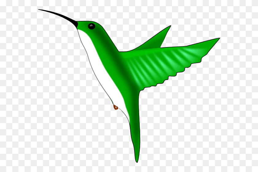 594x499 Клипарты Колибри Скачать - Зеленая Птица Клипарт