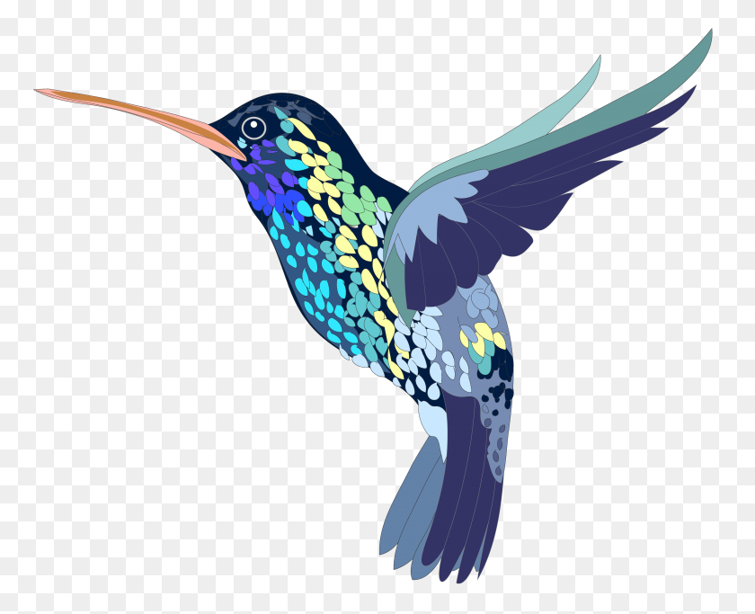 3666x2930 Hummingbird Art Png Background - PNG Background