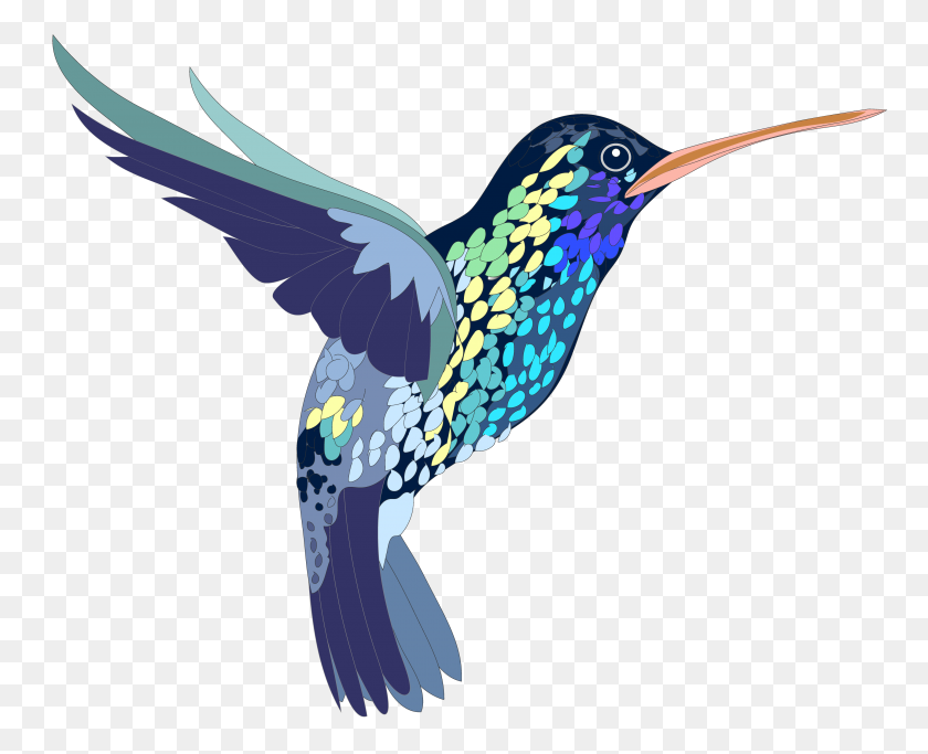 3666x2930 Hummingbird Clip Art Creation Creatures - Hummingbird Clipart