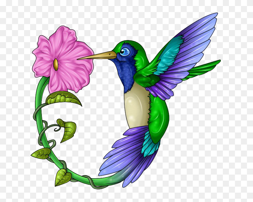 664x611 Hummingbird Clip Art Hummingbird Clip Art Free Stock Huge - Free Stock Clipart