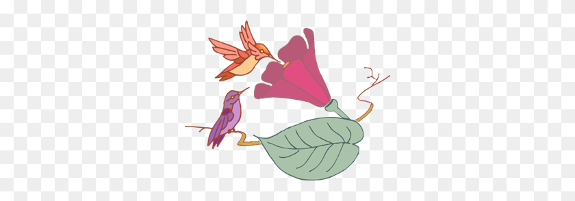 300x234 Hummingbird Png Images, Icon, Cliparts - Hummingbird Clipart Free