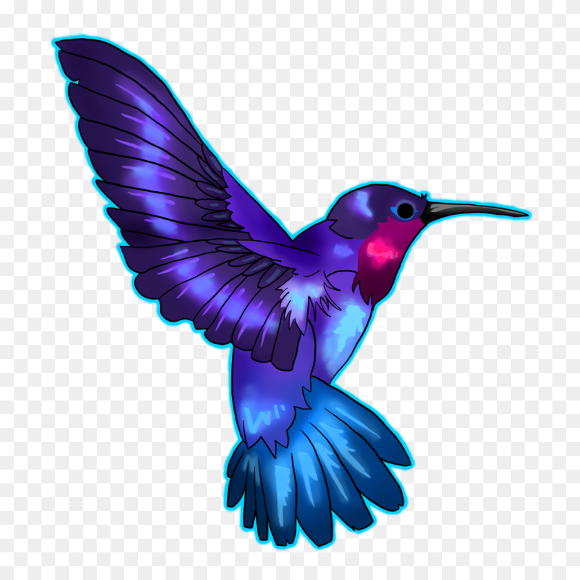 900x900 Hummingbird Png Transparent Images Free Download Clip Art - Hummingbird Clipart Free