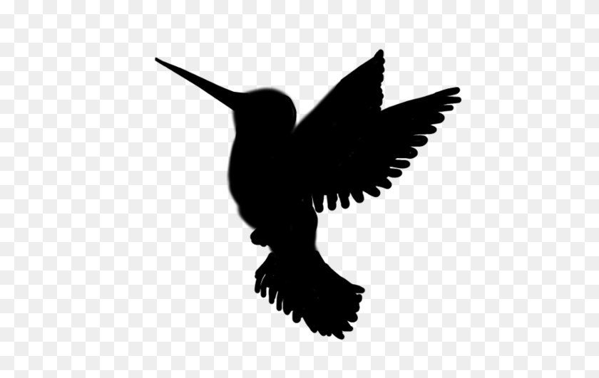 480x471 Hummingbird Silhouette Transparent Png - Feather Silhouette PNG
