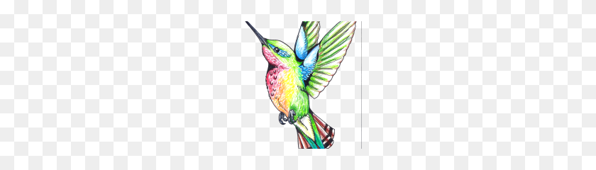 180x180 Hummingbird Tattoos Png Clipart - Hummingbird PNG