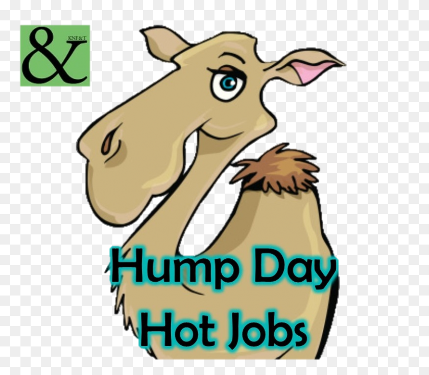 811x703 Hump ​​Day Hot Jobs Knfampt Staffing Resources - Среда Hump Day Клипарт