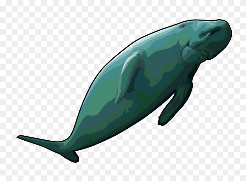 1301x934 Humpback Whale Clip Art Movieweb - Humpback Whale Clipart