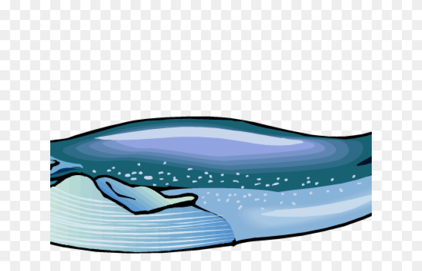 640x480 Humpback Whale Clipart Transparent - Swimming Pool Clipart