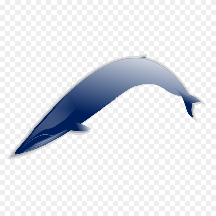 800x800 Humpback Whale Drawings For Sale - Humpback Whale Clipart